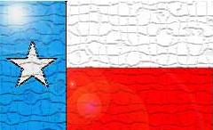 TX Flag